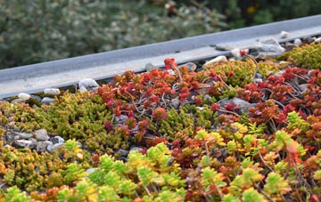 the cost of Winswell green roof installation