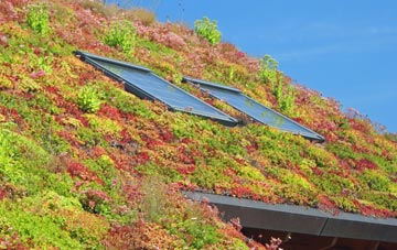 Winswell living roof systems