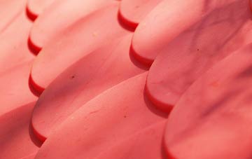 Winswell plastic roof costs